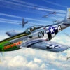 Revell 04148 North-American P-51D Mustang -Radio Control Models 1719 rd